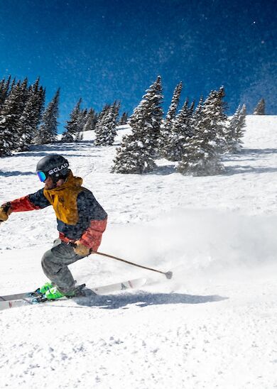 A person is skiing down a snowy slope surrounded by pine trees with clear blue skies and other skiers visible in the background.