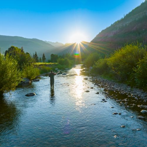 A person is standing in a river surrounded by nature, fishing as the sun rises over the mountains in the background.