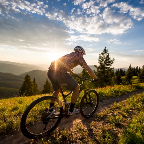 A person is riding a mountain bike on a dirt trail through a scenic, sunlit landscape with trees and mountains in the distance.